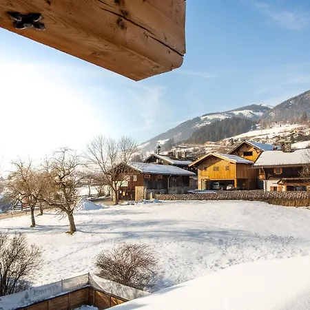 Alpine View * Niedernsill