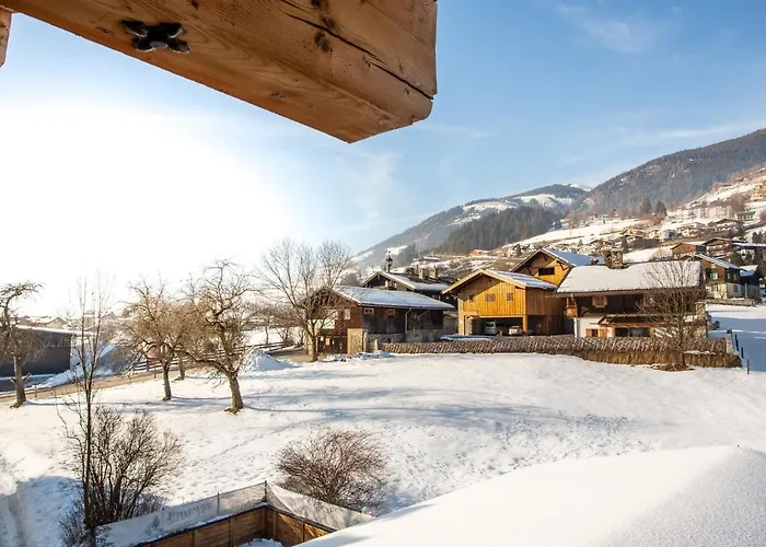 Alpine View * Niedernsill